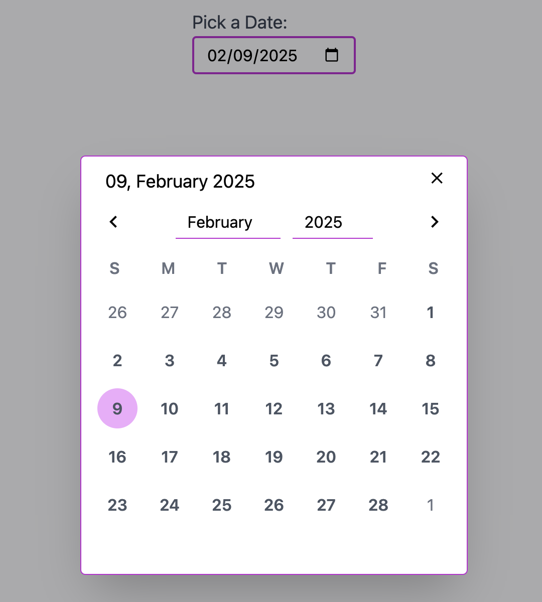 Vue DatePickerScreenshot